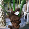 Mall Decoration Outdoor Artificial Palm Tree 