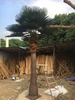 Factory Hot Sale Large Outdoor Artificial Palm Tree