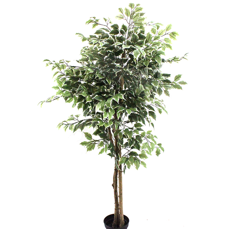  Hotel Decoration Indoor Artificial Ficus Tree