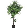 Australia Home Decoration Artificial Ficus Tree