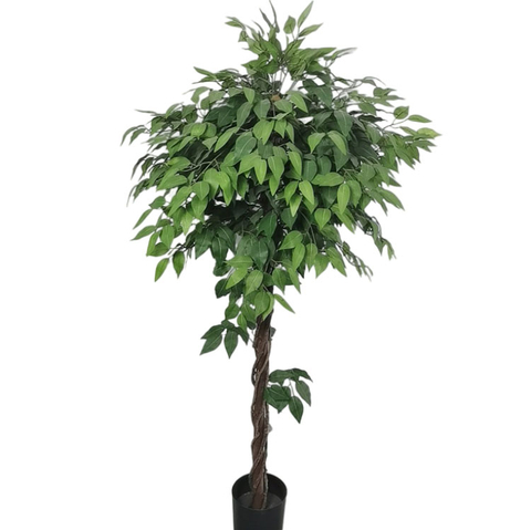 Australia Home Decoration Artificial Ficus Tree