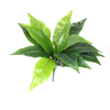 Mall Decoration Indoor Artificial Plant Accessories 