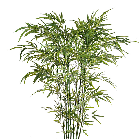Real Estate Decoration Indoor Atficial Bamboo Tree 