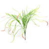 UK Office Decoration Indoor Artificial Plant Accessories 