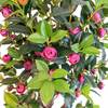 Mall Decoration Indoor Artificial Camellia Tree