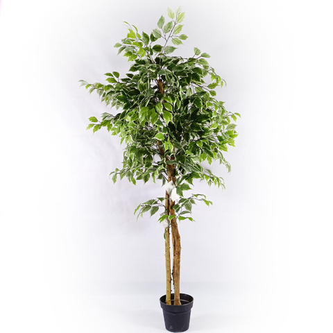 Office Decoration Indoor Artificial Ficus Tree