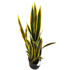 Clubhouse Decoration Indoor Artificial Agave