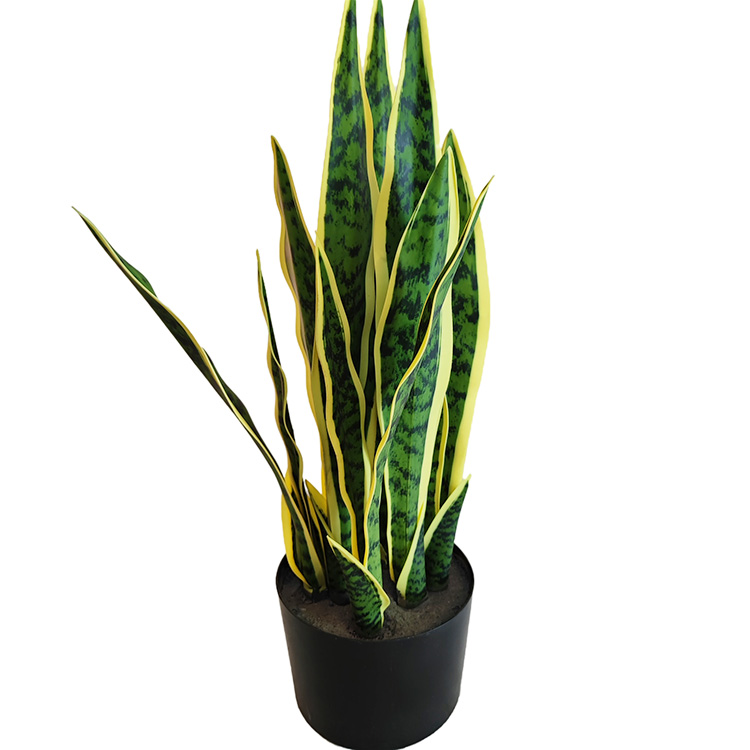 Tropical Africa Hotel Decoration Artificial Agave