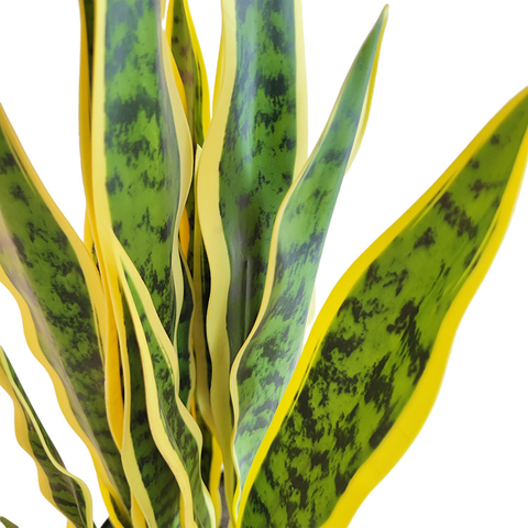 Tropical Africa Hotel Decoration Artificial Agave