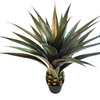Building Decoration Indoor Artificial Agave