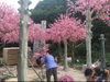 Mall Decoration Outdoor Artificial Peach Tree 