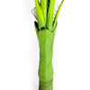 UK Office Decoration Indoor UK Artificial Areca Palm