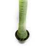 India Mall Decoration Indoor Artificial Areca Palm