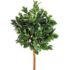 Gardon Decoration Indoor Artificial Laurel Tree