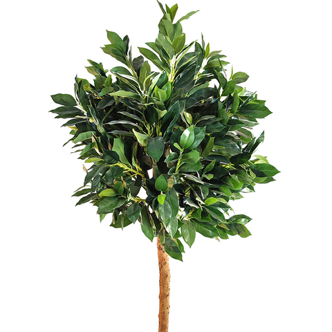 Gardon Decoration Indoor Artificial Laurel Tree