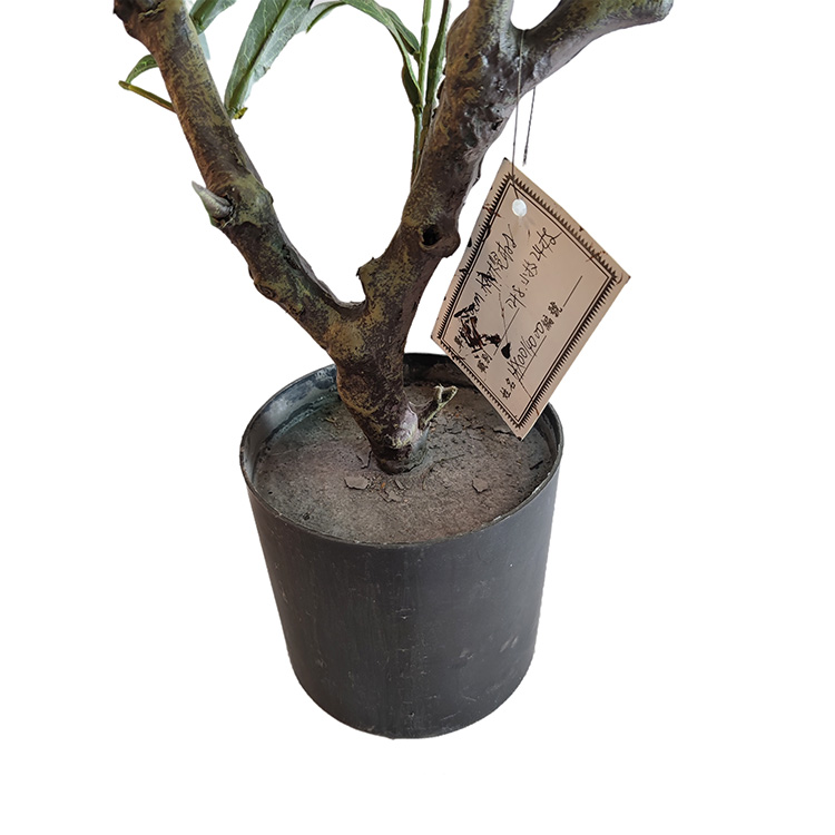 Wholesale Indoor Office Decor Artificial Olive Tree