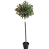 Amazon Hot Sale Indoor Home Decorative Artificial Olive Tree