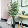 Kuwait Building Decoration Indoor Fake Olive Tree 
