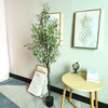 Canada Indoor Office Decoration Artificial Olive Tree
