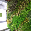 Hotel Decoration Indoor Artificial Plant Wall