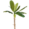 Office Decoration Indoor Artificial Banana Tree