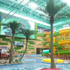 Building Decoration Outdoor Artificial Coconut Tree