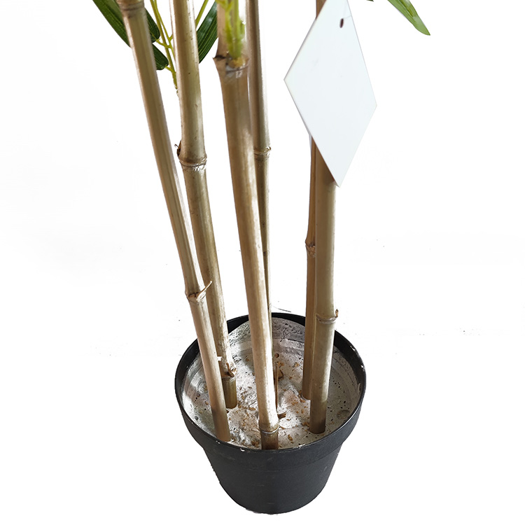 Canada Home Decoration Indoor Atficial Bamboo Tree 