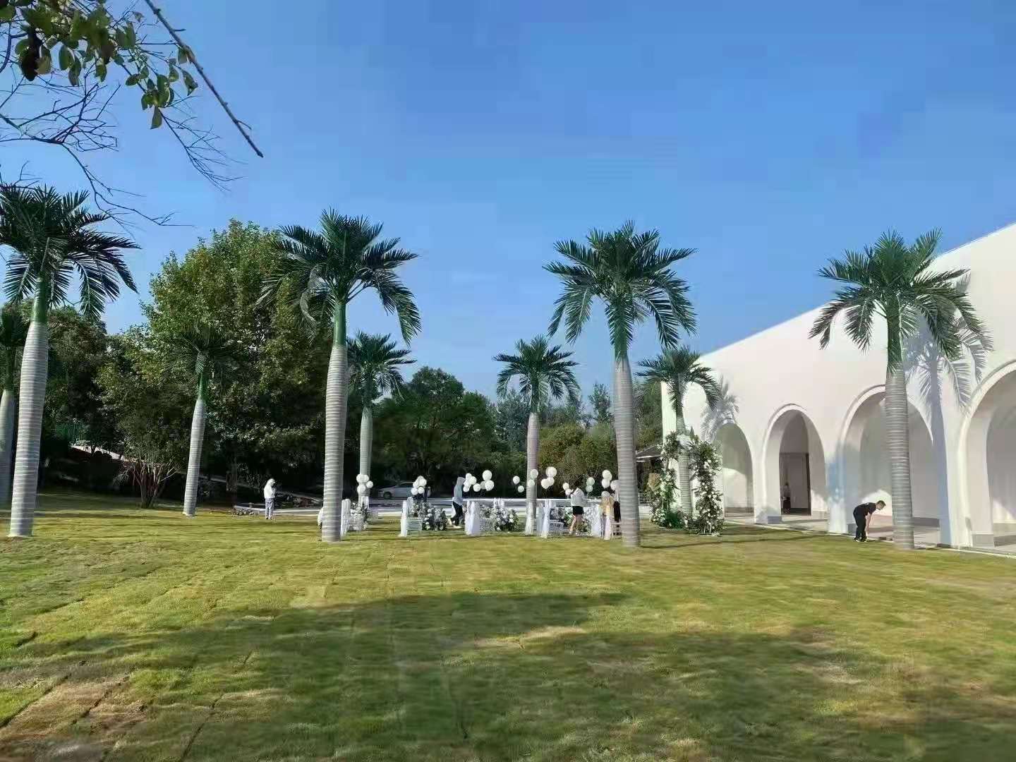 816e1dfc5c450b48103407cb5260c6f