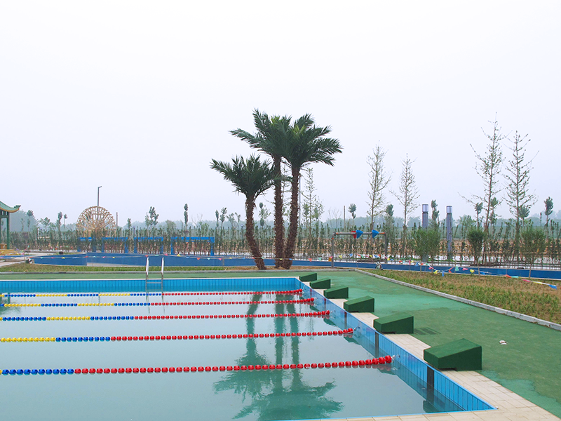 The water park of Shandong Dongmeng group of artificial coconut trees