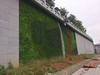New Gardon Decoration Outdoor Artificial Green Wall 
