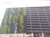UK Fireproof And UV Artificial Green Wall 
