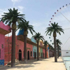 Water Park Decoration Outdoor Artificial Data Palm Tree