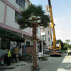 Factory Hot Sale Large Outdoor Artificial Palm Tree
