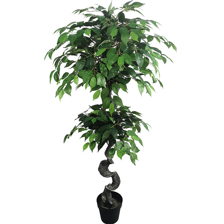 Australia Home Decoration Artificial Ficus Tree
