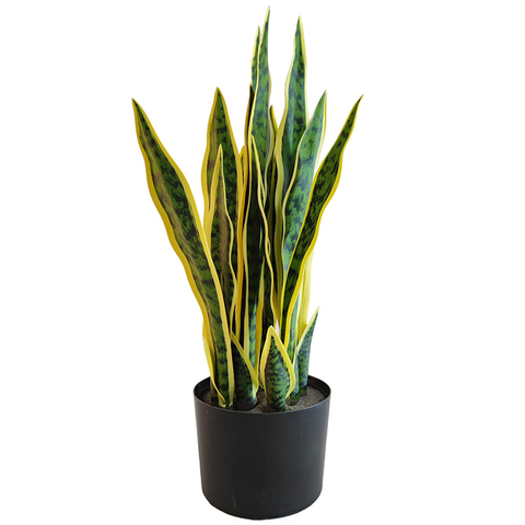 Tropical Africa Hotel Decoration Artificial Agave