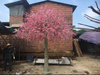 Mall Decoration Outdoor Artificial Peach Tree 