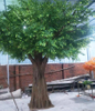 Landscape Decoration Factory Price Artificial Banyan Trees