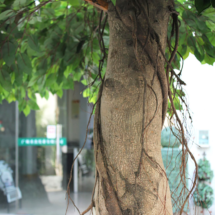 Rainforest Hotel Decoration Artificial Ficus Tree