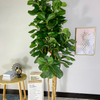Cananda Indoor Hotel Decoration Artificial Fiddle Leaf Fig Tree 