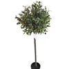 Amazon Hot Sale Indoor Home Decorative Artificial Olive Tree
