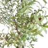 Kuwait Building Decoration Indoor Fake Olive Tree 