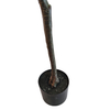 Canada Indoor Office Decoration Artificial Olive Tree