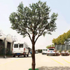 Canada Indoor Gardon Decoration Artificial Olive Tree 