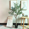 UK Indoor Office Decoration Artificial Olive Tree