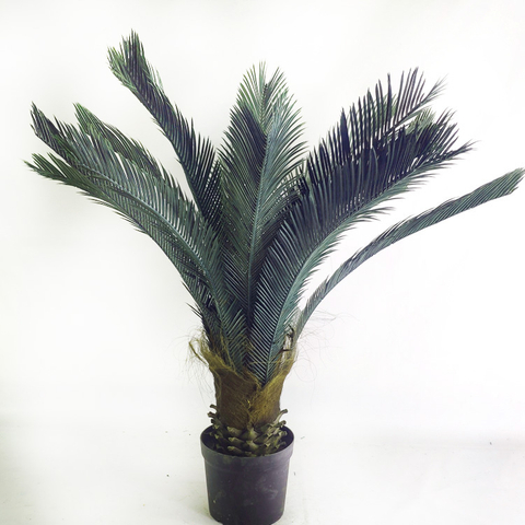 Asia Hotel Decoration Artificial Sago Cycas