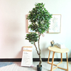 Subtropical Office Decoration Indoor Artificial Laurel Tree 