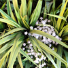 Gardon Decoration Indoor Artificial Plant Wall 