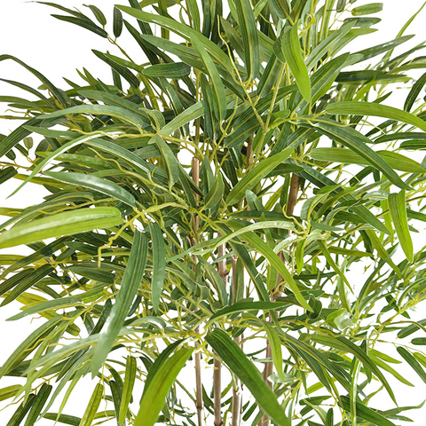 Canada Home Decoration Indoor Atficial Bamboo Tree 