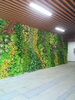 Malaysia Indoor Hotel Decoration Artificial Green Wall 