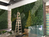 Australia Indoor Building Decoration Artificial Green Wall